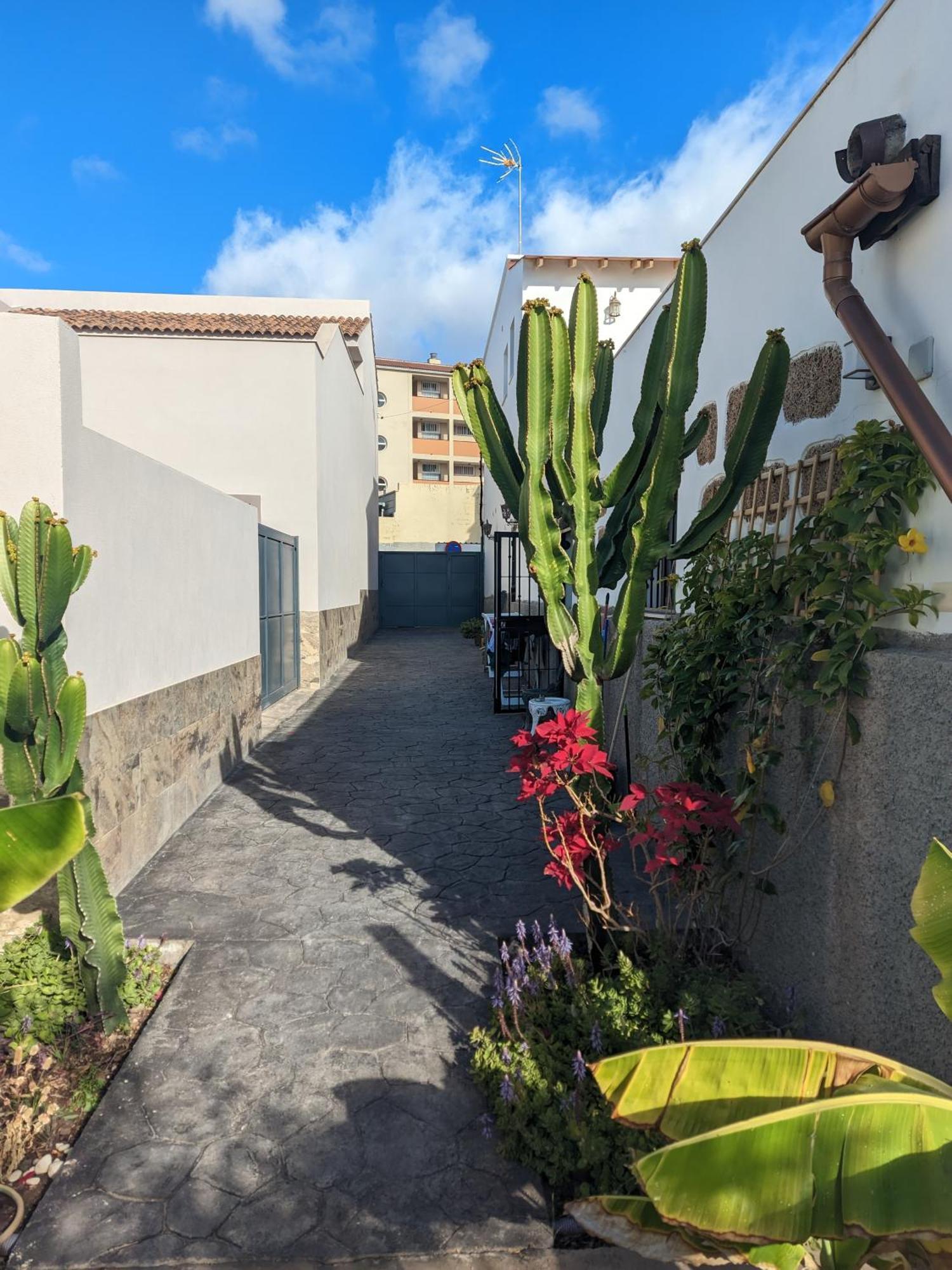 Appartamento Casa Roberta Fuego Arona  Esterno foto